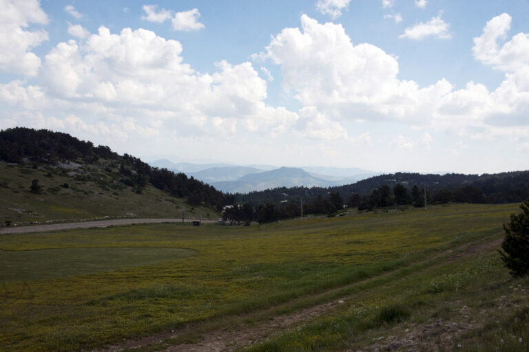 6 juin - Dentelles de Montmirail_4