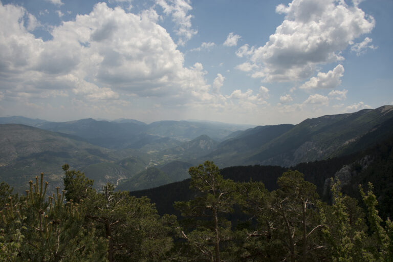 6 juin - Le Ventoux_6