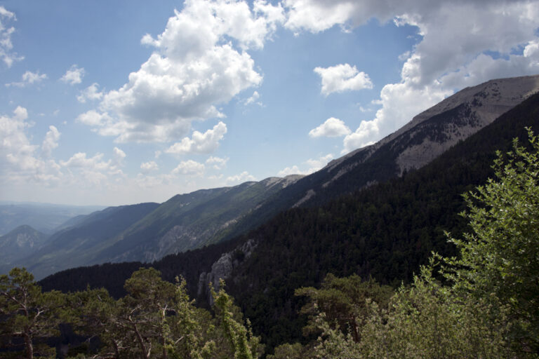 6 juin - Le Ventoux_7