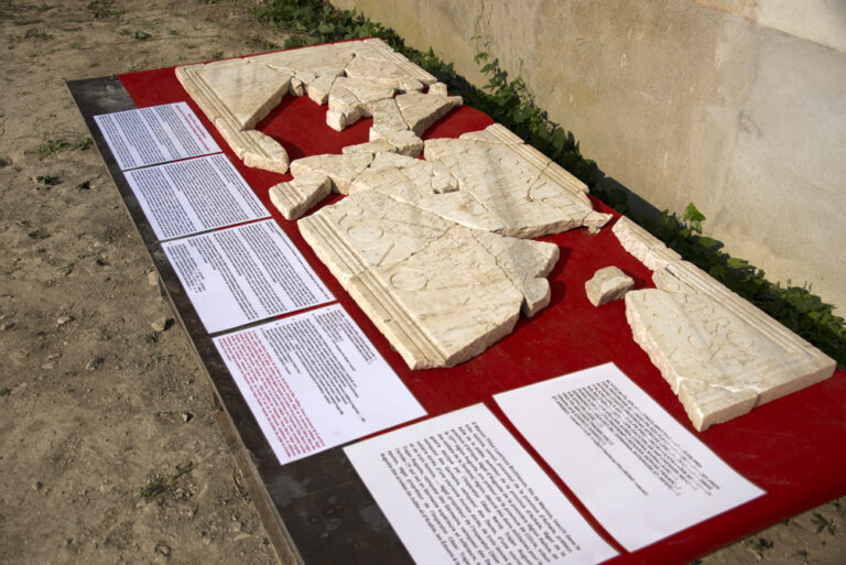8 juillet Forum Vaison_7