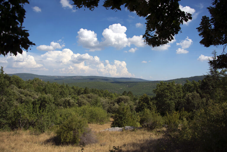 24 juillet - Sault_12 LP