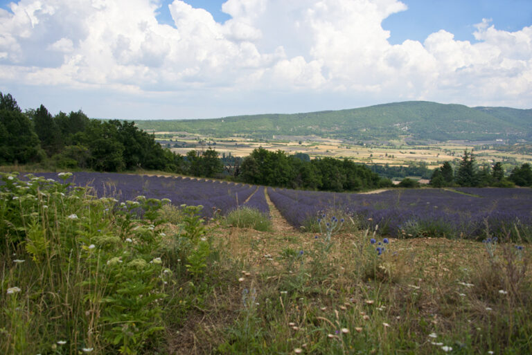 24 juillet - Sault_2 LP