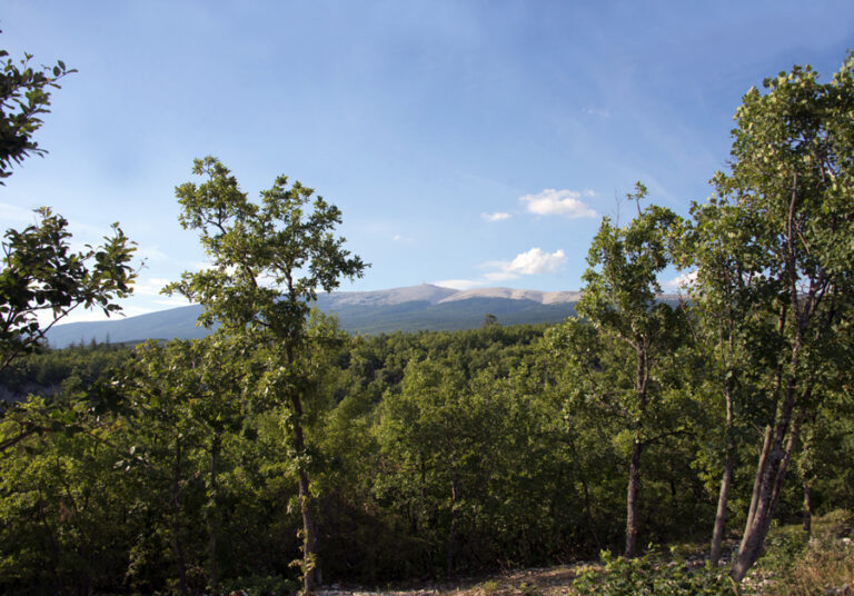 24 juillet - vers Flassan PL