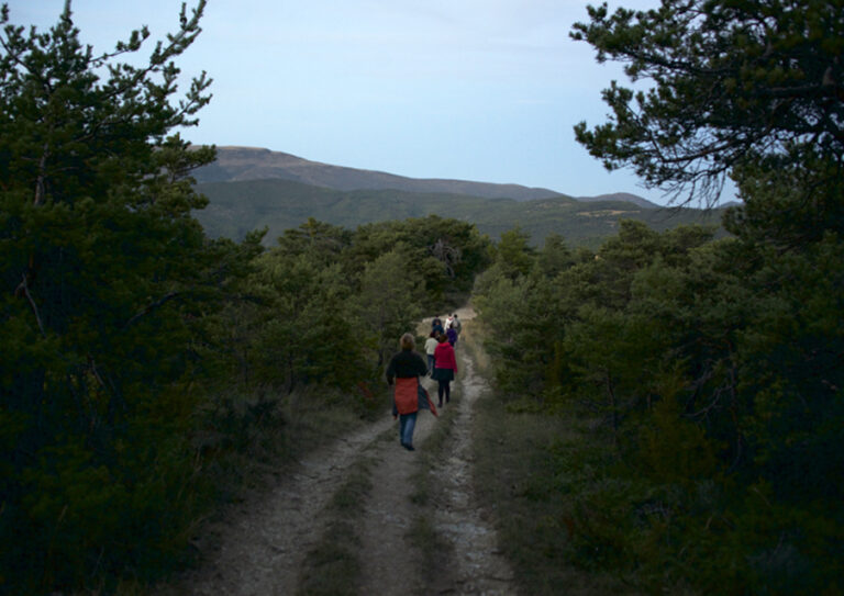 2_marche_vitao_sante