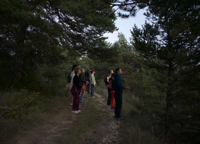 4_marche_vitao_sante