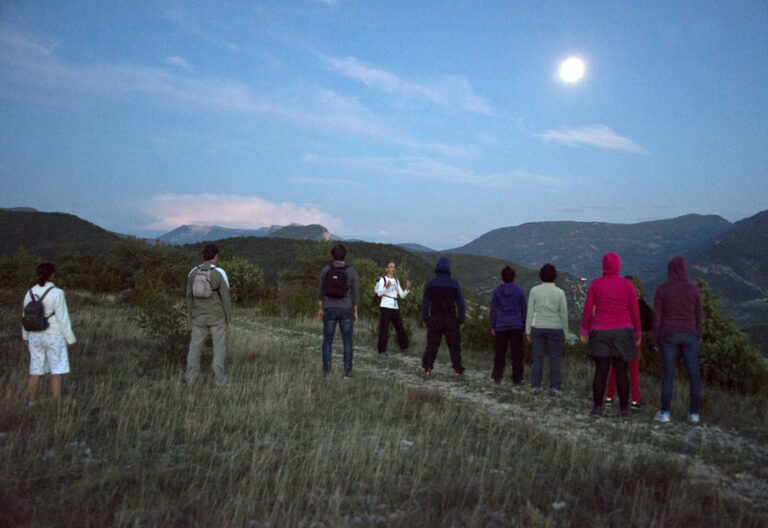 8_marche_vitao_sante