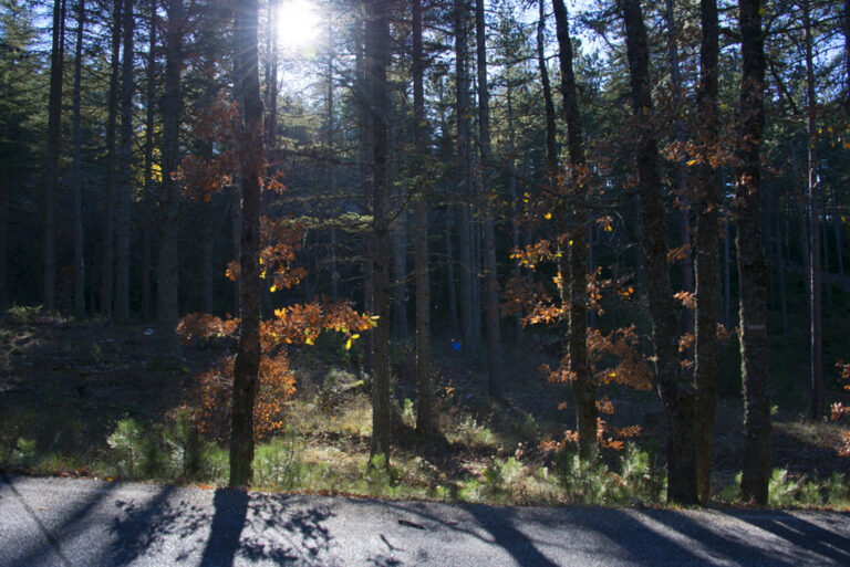 23Nov-Ventouxetneige13