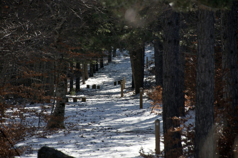 23Nov-Ventouxetneige4