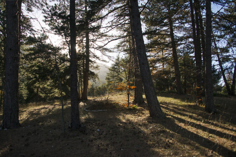 Randonnee_ventoux_11