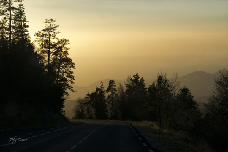 Randonnee_ventoux_16