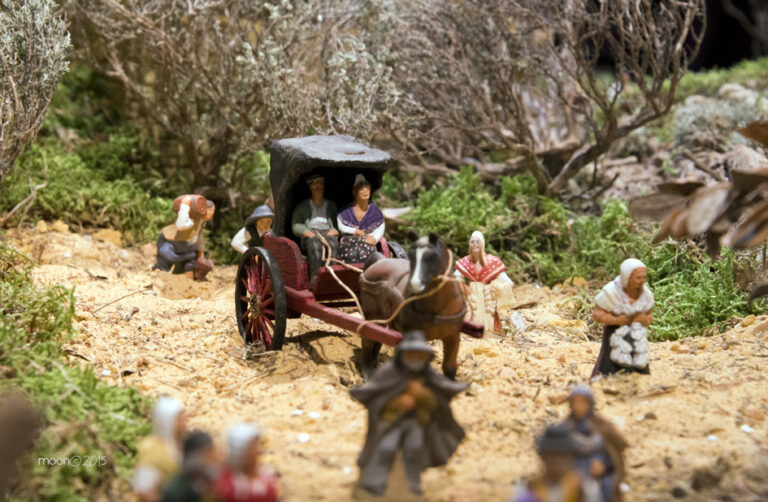 1Carpentrascreche_14