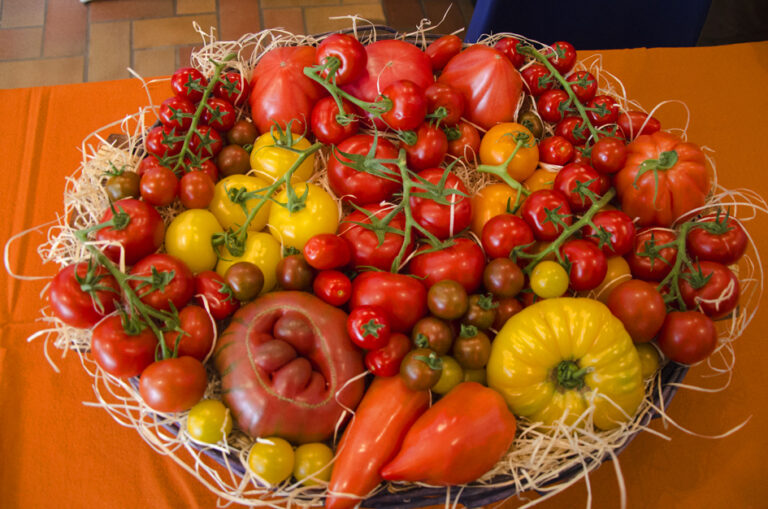 CONF-FOIRE-EXPO-AVIGNON_3