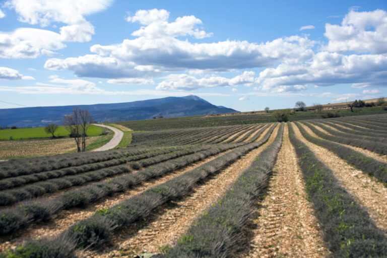 De-Sault-a-Sederon10