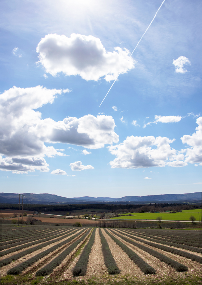 De-Sault-a-Sederon12