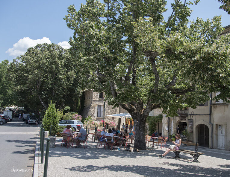 Lourmarin-Luberon-1