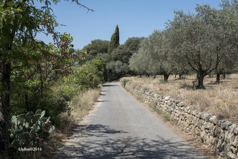 Lourmarin-Luberon