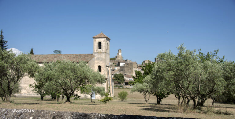Lourmarin11