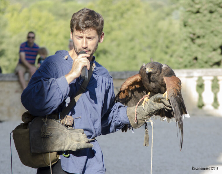 Lourmarin-Aigle Royal_0