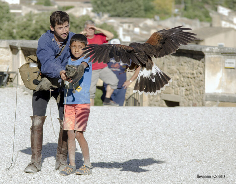 Lourmarin-Aigle Royal_4