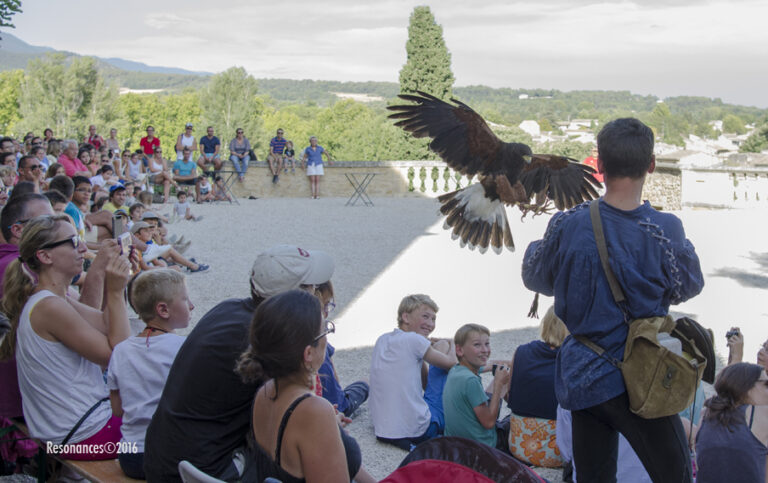 Lourmarin-Aigle Royal_6