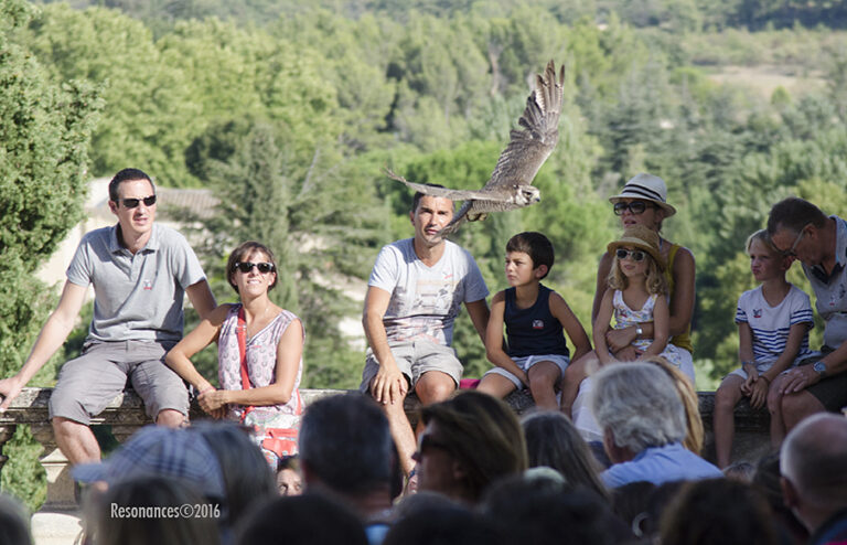 Lourmarin-Aigle Royal_9