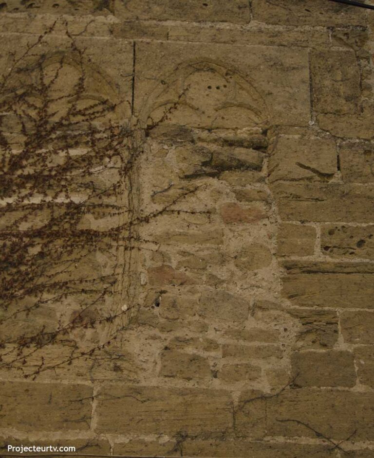 Visite guidée sorgues 15