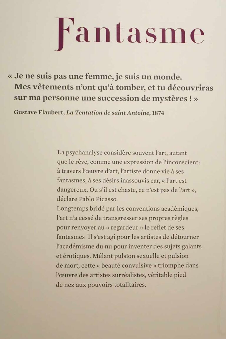 Expo_le_reve_marseille_10