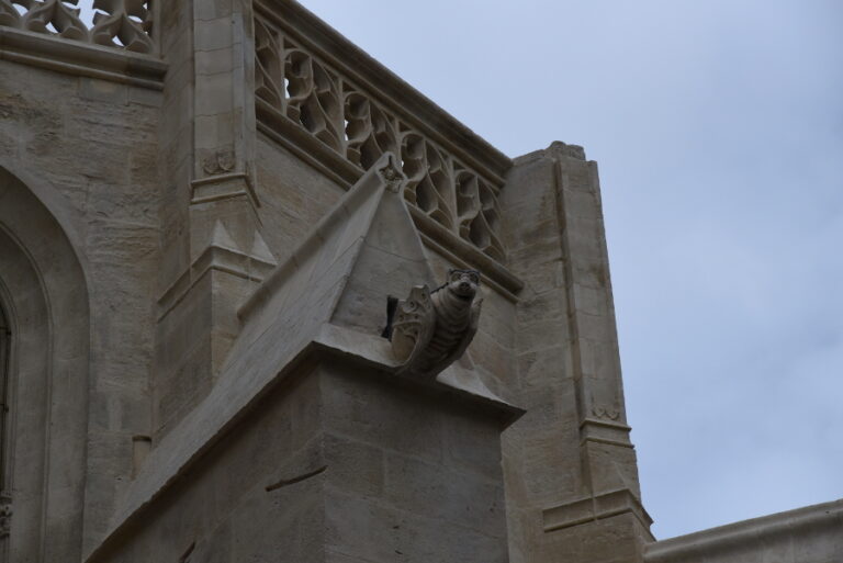 Collegiale_islesurlasorgue4