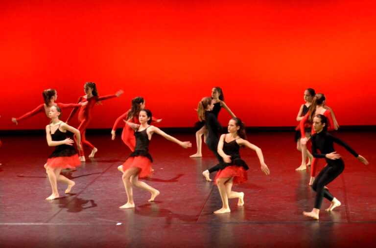 Decouverte_de_ladanse_2