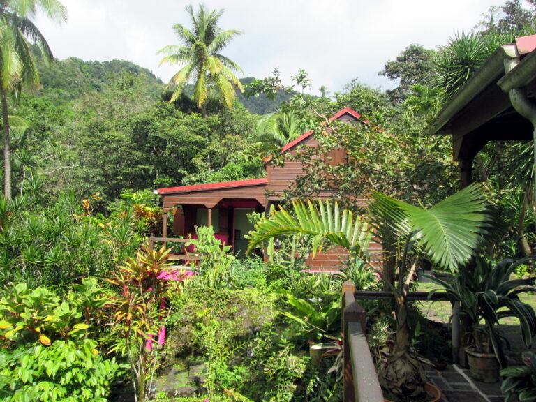 nuit_caraibes_guadeloupe_5