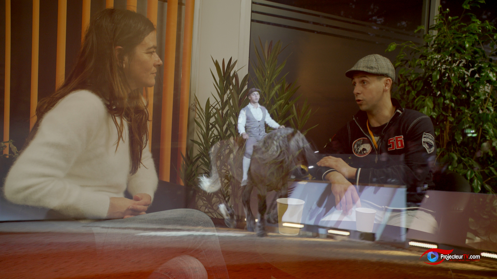 Cheval Passion Jérôme Sefer