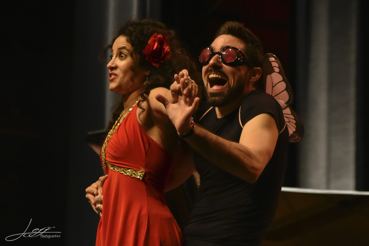 CALMS -Le Collectif des Artistes Lyriques et Musiciens pour la Solidarite