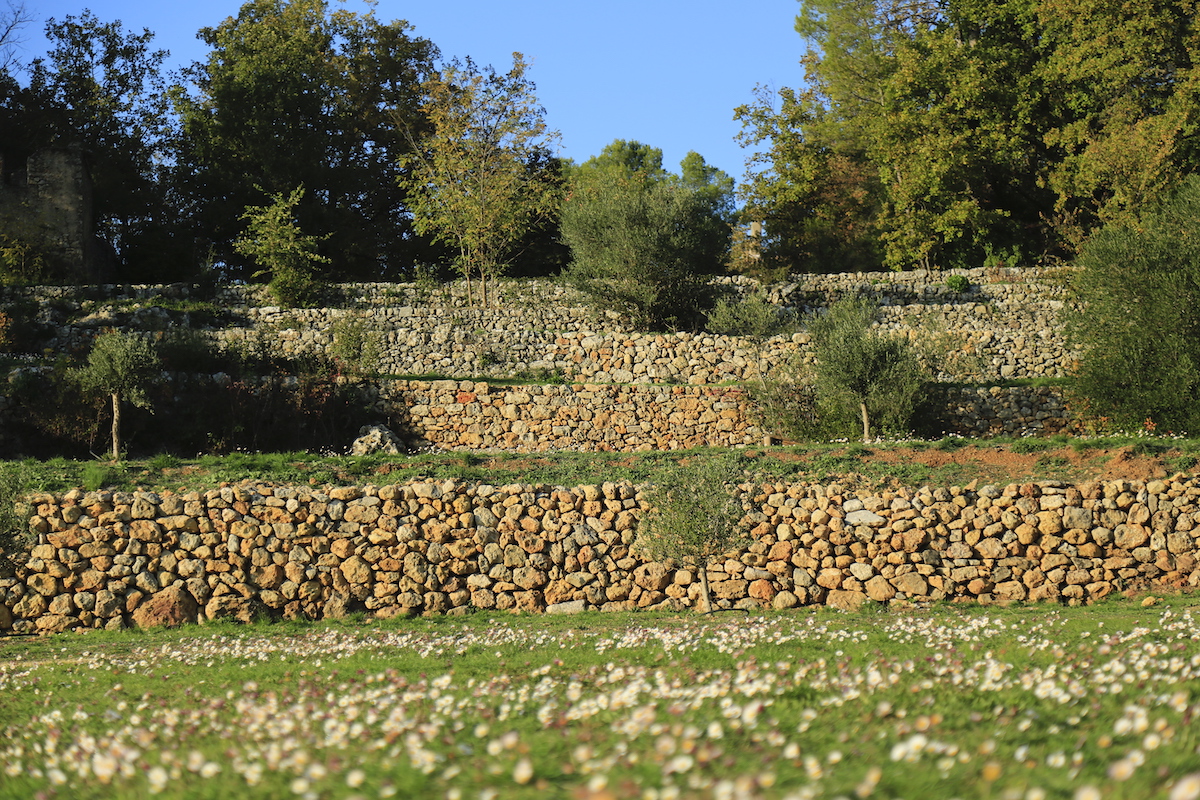 restanque champ de vigne ©Mathieu Houllière