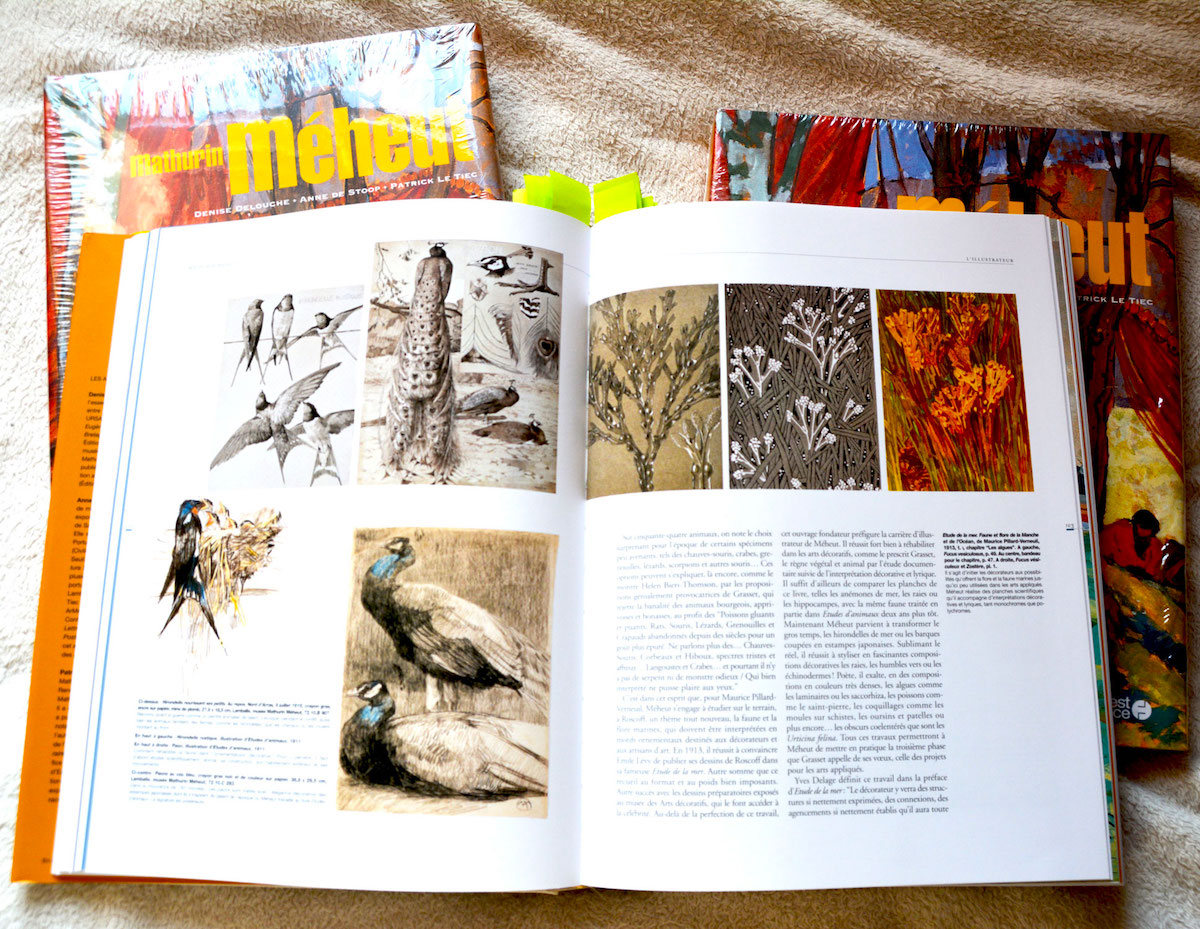 Page 103 LIvre Mathurin Meheut