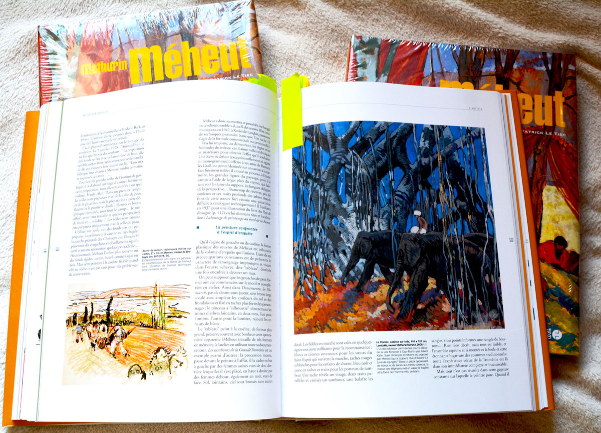 Page 295 Livre Mathurin Meheut