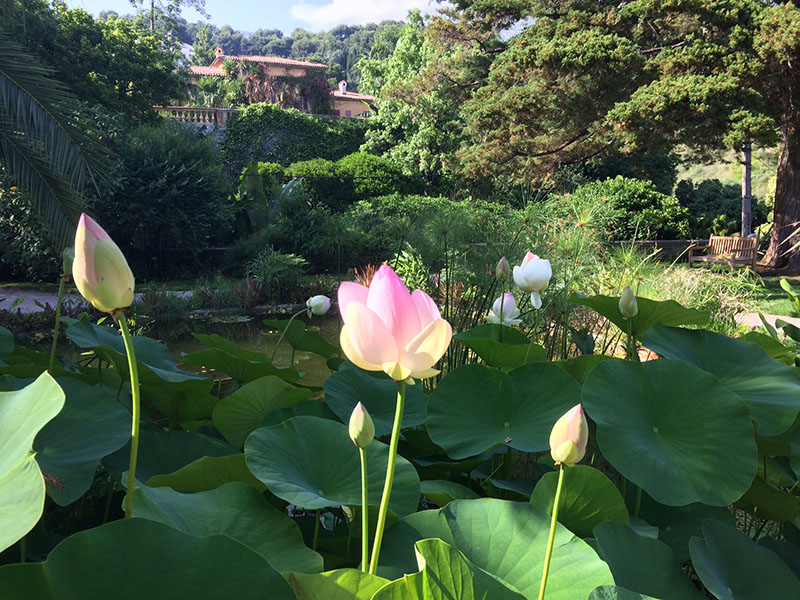 val rahmeh jardin especes tropicales ville de menton