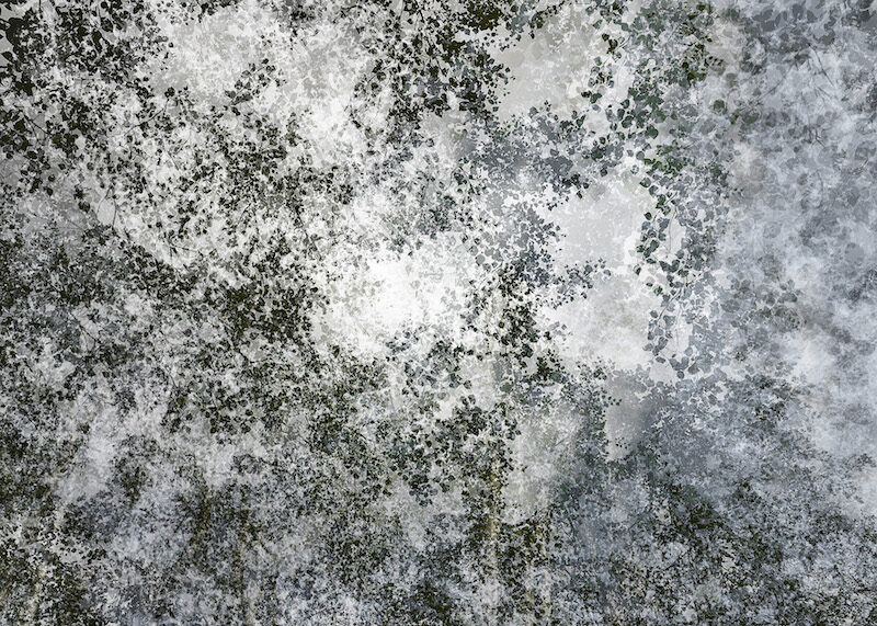 Eric Bourret exposition Festival Photo Marseille