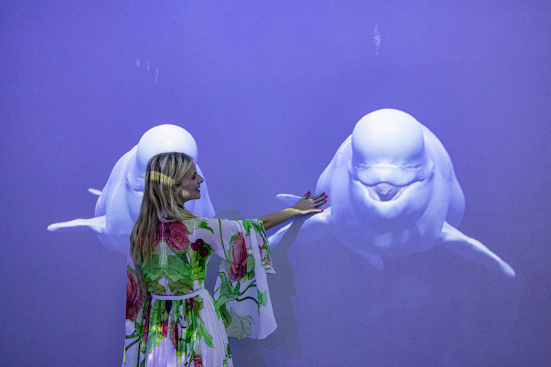 Exposition Mission Polaire, Musée Océanographique de Monaco