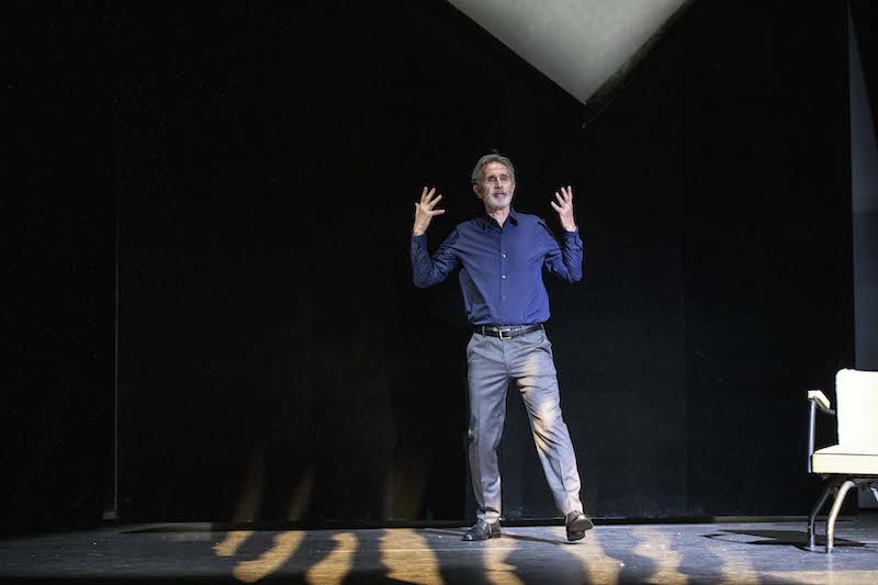 Fleurs De Soleil spectacle theatre thierry lhermitte