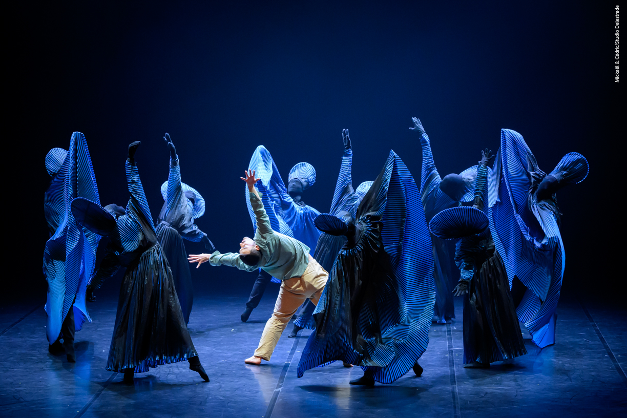 oiseau de feu stravinsky ballet opera avignon