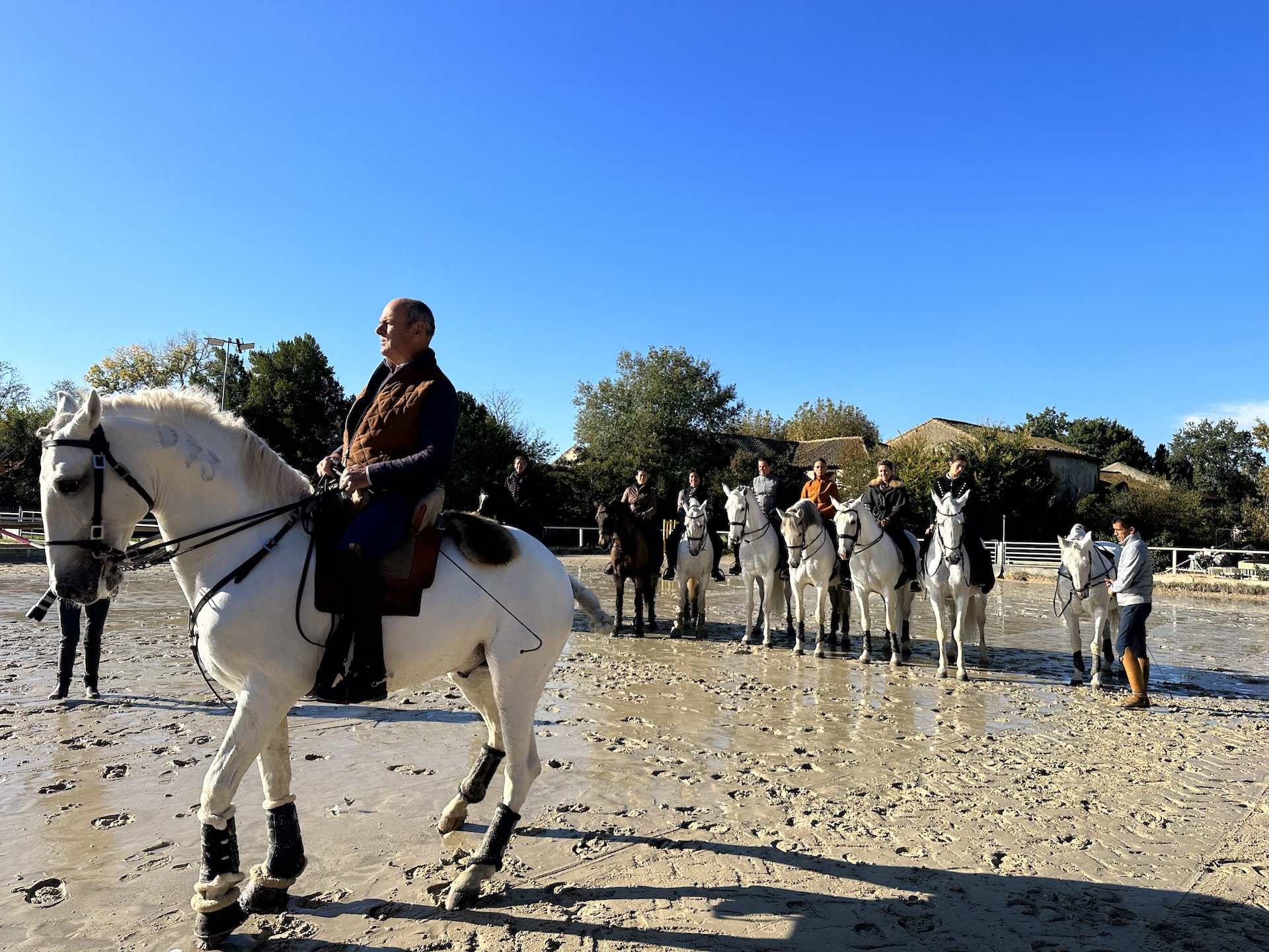 Programme Cheval passion 2024 Gala des Criniere d or