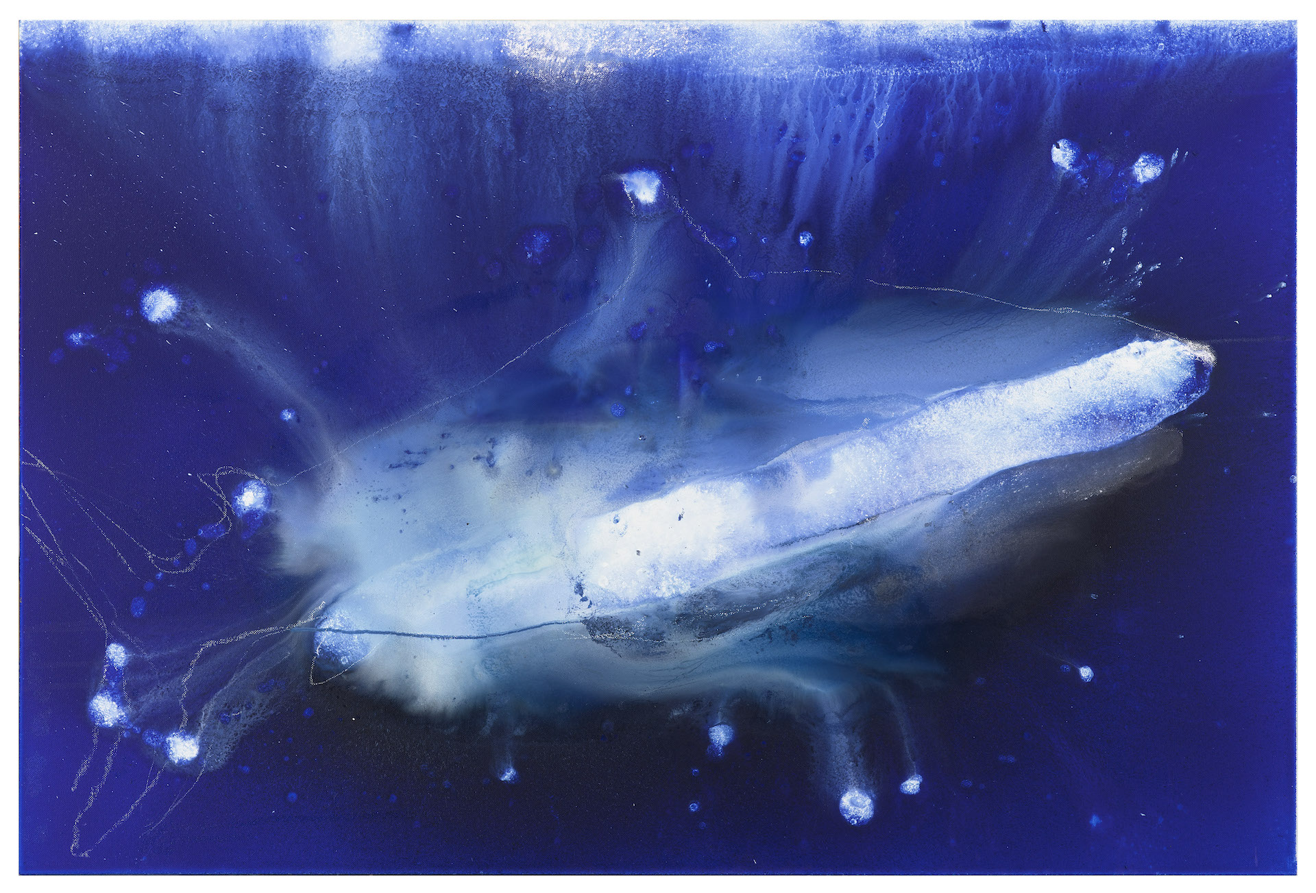 Exposition Miquel Barcelo _Requin NMNM monaco art contemporain