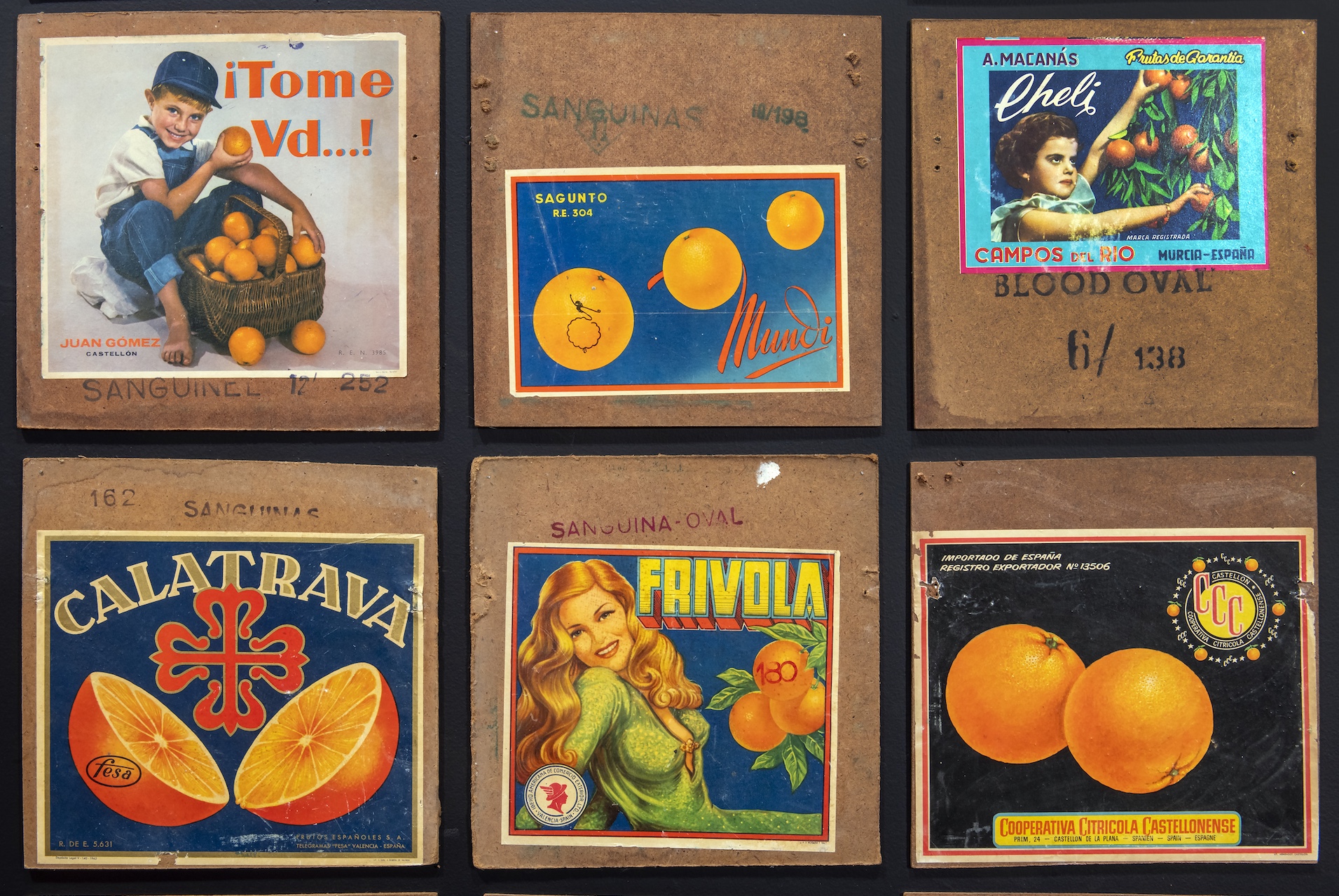 Papiers agrumes expo miam sete