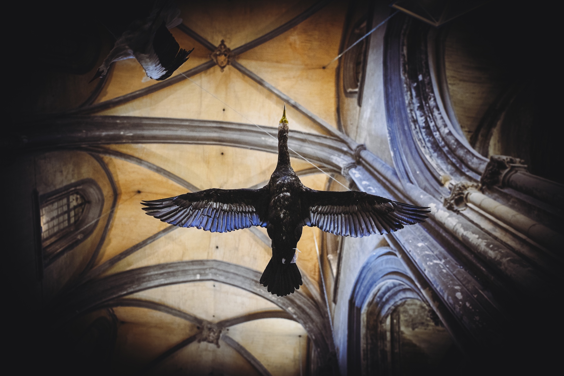 exposition museum requien avignon terre de culture 2025