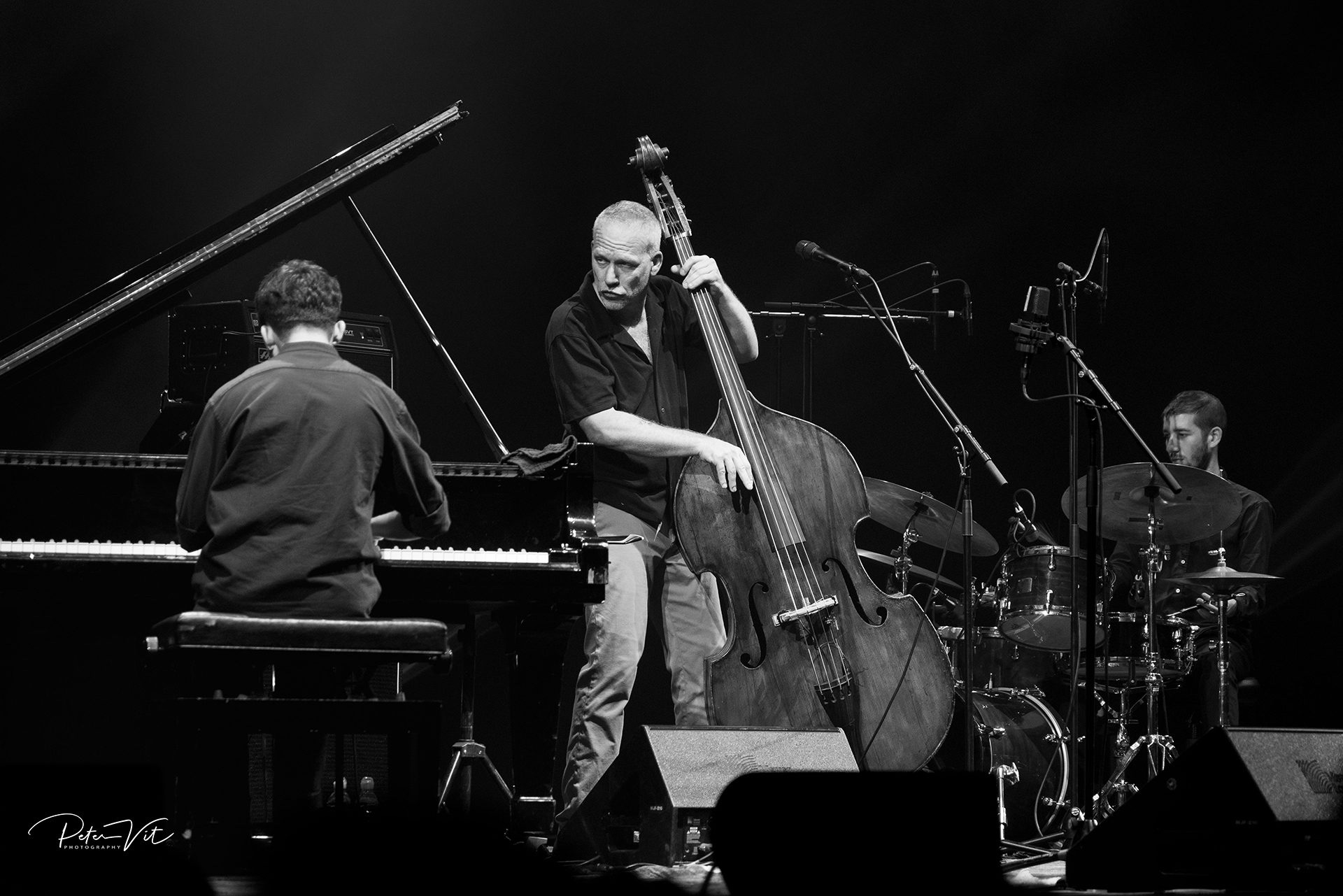 Avishai-Cohen-New-Trio critique concert