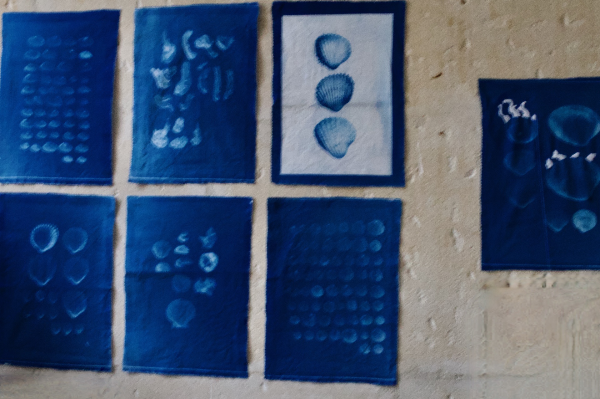 Julien Guintrel arts at home arles