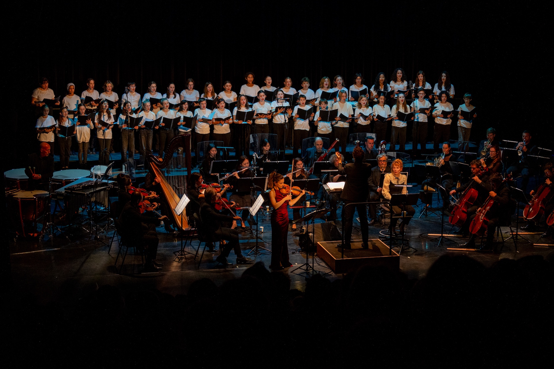 la musique des ames sylvie allouche