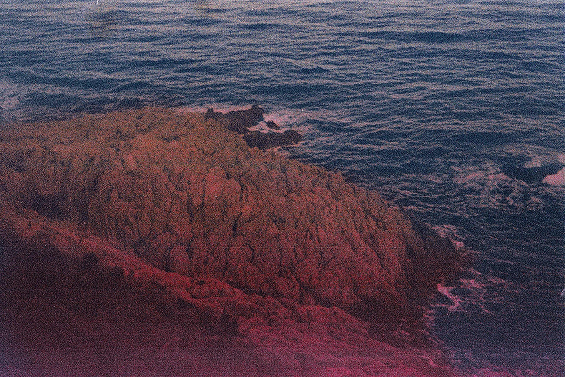 centre de la photo expositions mougins Le spectaculaire à l'épreuve de la matière