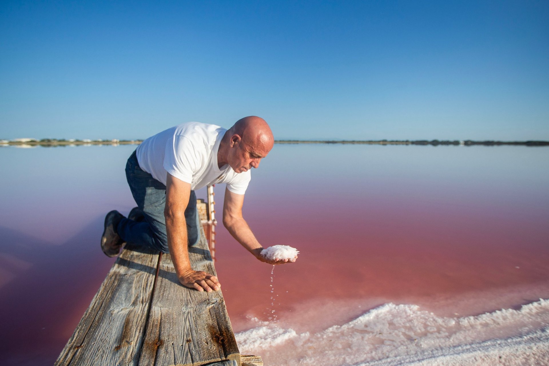 Camargue à l’Unesco : la récolte de la fleur de sel, un savoir-faire défendu dans la candidature